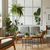 Mountson Wall Mount for Sonos ONE/ONE SL/PLAY:1