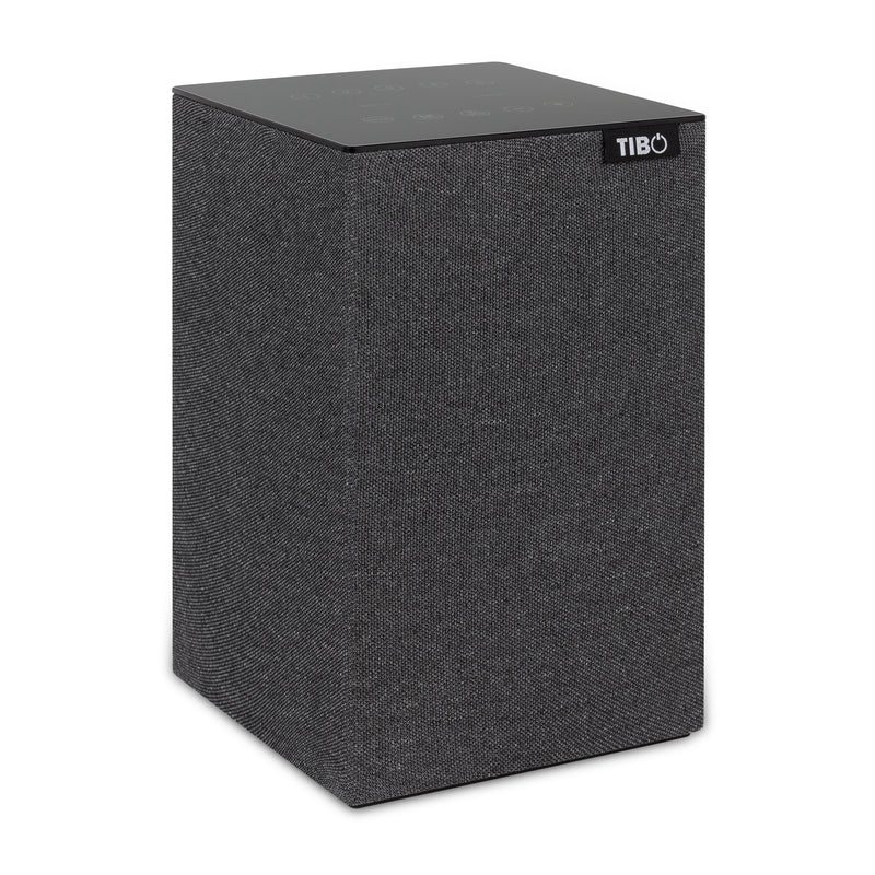 TIBO Choros 4 Bluetooth and Wi-Fi Speaker