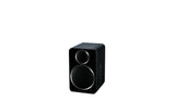 Wharfedale DS-2 Active Speakers