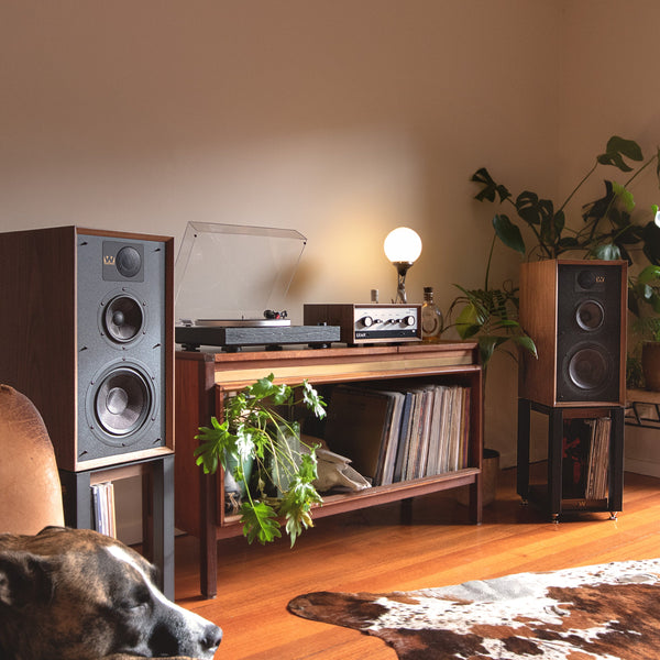 The Tambourine Man Hi-Fi System