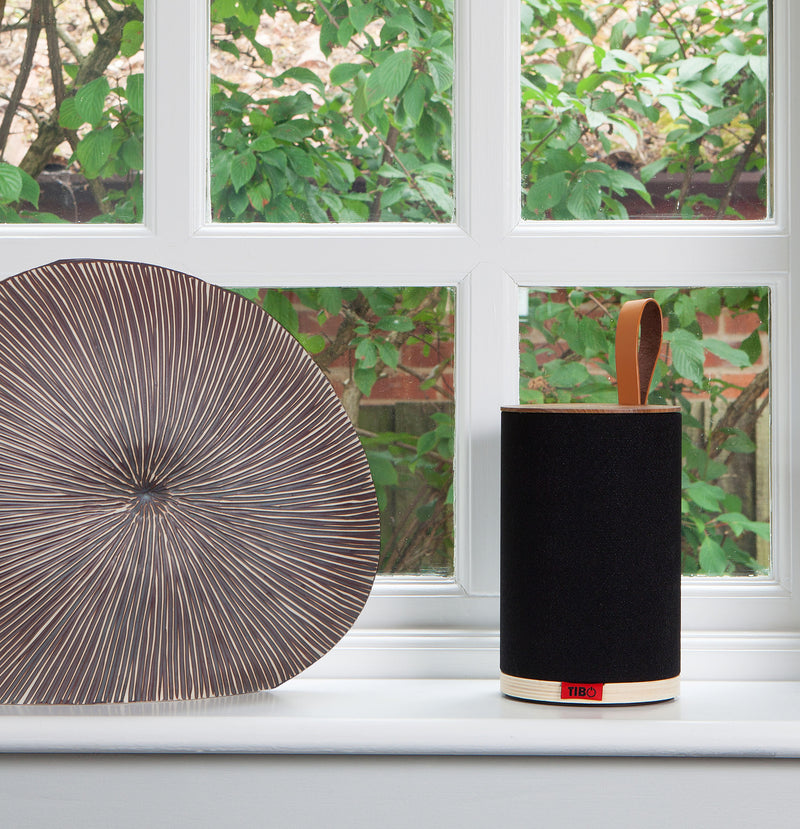 TIBO Vogue 1 Portable Bluetooth and Wi-Fi Speaker